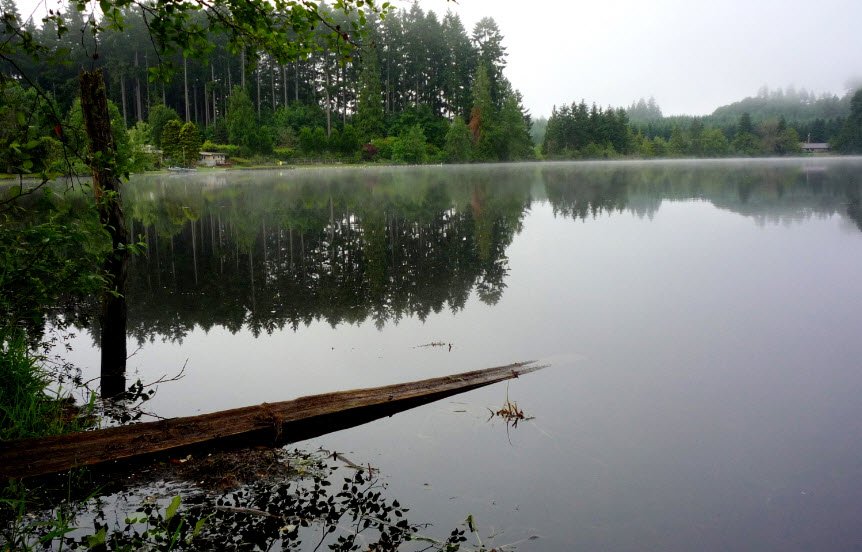 Millersylvania State Park, Washington, USA